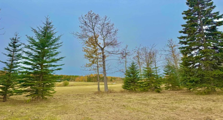 409 Valley View Close, Rural Clearwater County, Alberta T4T 1A7, ,Land,For Sale,Valley View,A2264703
