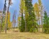 409 Valley View Close, Rural Clearwater County, Alberta T4T 1A7, ,Land,For Sale,Valley View,A2264703