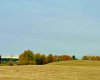420 Valley View Close, Rural Clearwater County, Alberta T4T 1A7, ,Land,For Sale,Valley View,A2264704