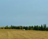 420 Valley View Close, Rural Clearwater County, Alberta T4T 1A7, ,Land,For Sale,Valley View,A2264704