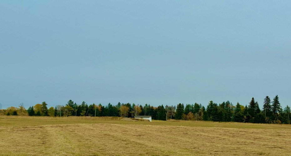 420 Valley View Close, Rural Clearwater County, Alberta T4T 1A7, ,Land,For Sale,Valley View,A2264704