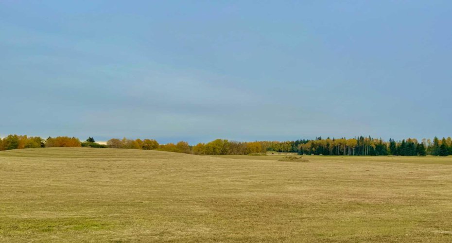 420 Valley View Close, Rural Clearwater County, Alberta T4T 1A7, ,Land,For Sale,Valley View,A2264704
