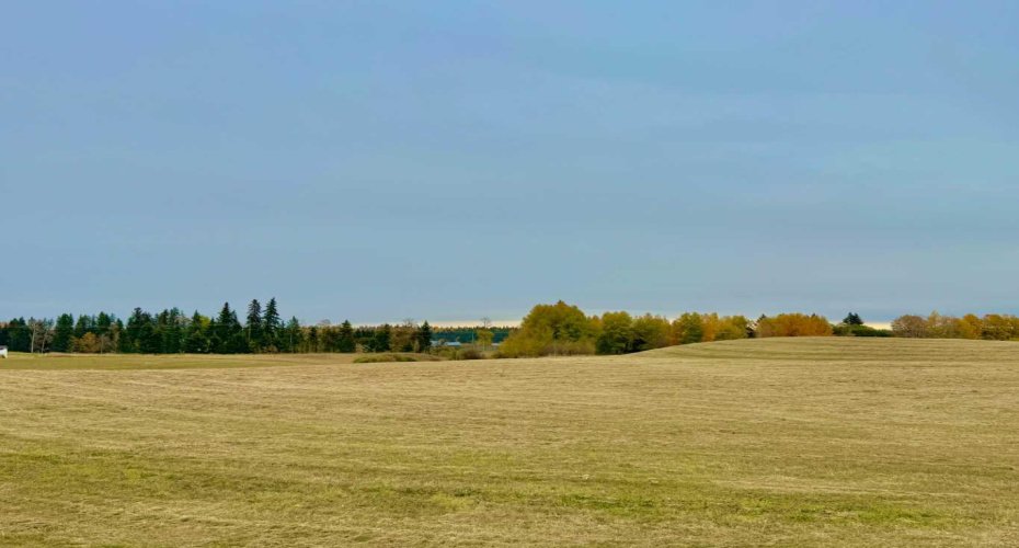 420 Valley View Close, Rural Clearwater County, Alberta T4T 1A7, ,Land,For Sale,Valley View,A2264704