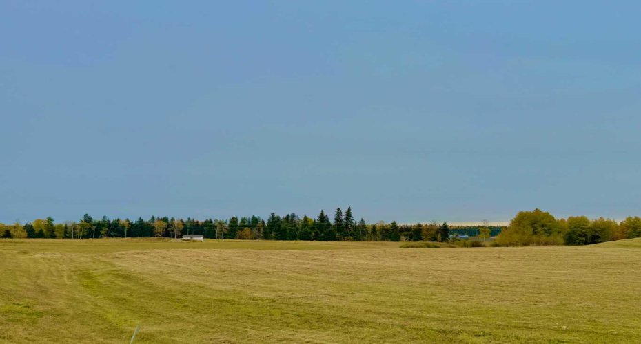 420 Valley View Close, Rural Clearwater County, Alberta T4T 1A7, ,Land,For Sale,Valley View,A2264704