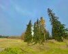 417 Valley View Close, Rural Clearwater County, Alberta T4T 1A7, ,Land,For Sale,Valley View,A2264705