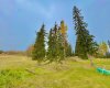 417 Valley View Close, Rural Clearwater County, Alberta T4T 1A7, ,Land,For Sale,Valley View,A2264705