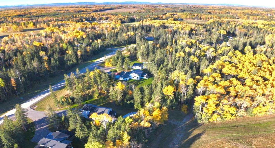 417 Valley View Close, Rural Clearwater County, Alberta T4T 1A7, ,Land,For Sale,Valley View,A2264705