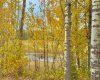 417 Valley View Close, Rural Clearwater County, Alberta T4T 1A7, ,Land,For Sale,Valley View,A2264705