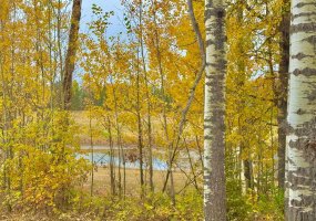 417 Valley View Close, Rural Clearwater County, Alberta T4T 1A7, ,Land,For Sale,Valley View,A2264705