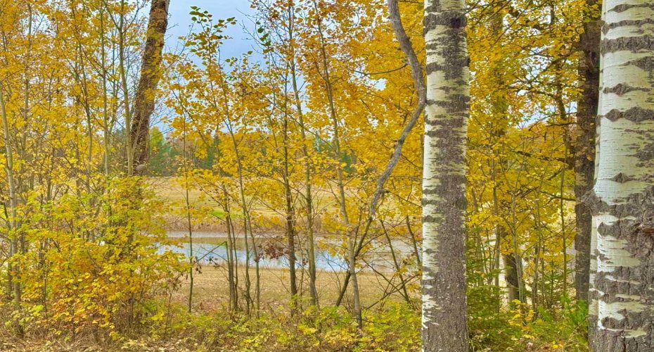 417 Valley View Close, Rural Clearwater County, Alberta T4T 1A7, ,Land,For Sale,Valley View,A2264705