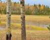 417 Valley View Close, Rural Clearwater County, Alberta T4T 1A7, ,Land,For Sale,Valley View,A2264705