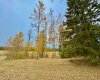 417 Valley View Close, Rural Clearwater County, Alberta T4T 1A7, ,Land,For Sale,Valley View,A2264705