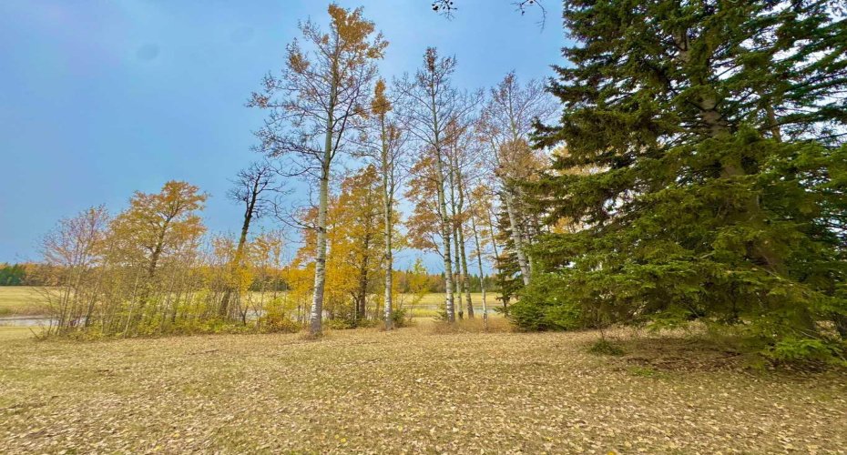 417 Valley View Close, Rural Clearwater County, Alberta T4T 1A7, ,Land,For Sale,Valley View,A2264705