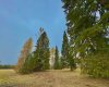 417 Valley View Close, Rural Clearwater County, Alberta T4T 1A7, ,Land,For Sale,Valley View,A2264705