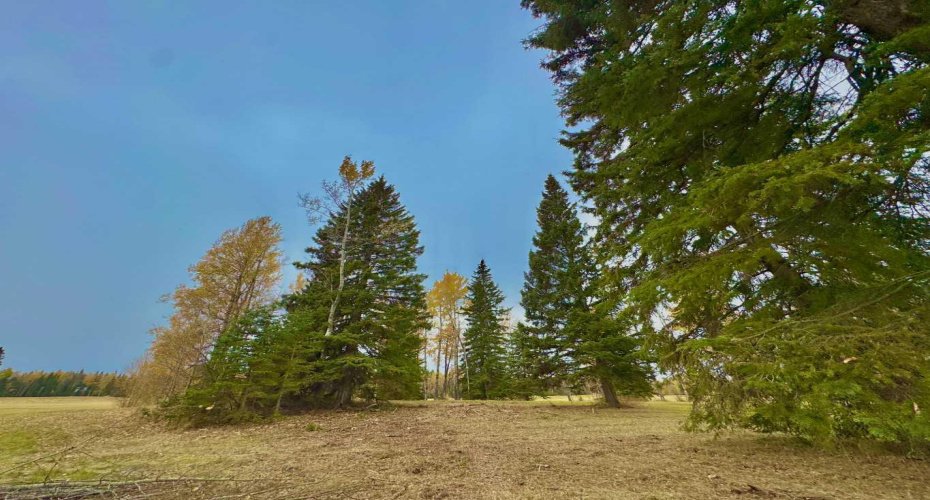 417 Valley View Close, Rural Clearwater County, Alberta T4T 1A7, ,Land,For Sale,Valley View,A2264705
