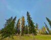 417 Valley View Close, Rural Clearwater County, Alberta T4T 1A7, ,Land,For Sale,Valley View,A2264705