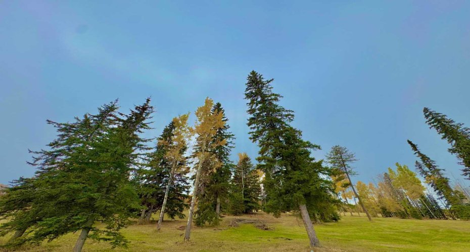 417 Valley View Close, Rural Clearwater County, Alberta T4T 1A7, ,Land,For Sale,Valley View,A2264705