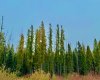 408 Valley View Close, Rural Clearwater County, Alberta T4T 1A7, ,Land,For Sale,Valley View,A2264706
