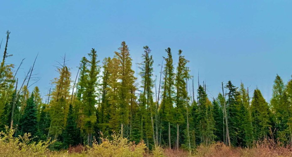 408 Valley View Close, Rural Clearwater County, Alberta T4T 1A7, ,Land,For Sale,Valley View,A2264706