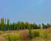 408 Valley View Close, Rural Clearwater County, Alberta T4T 1A7, ,Land,For Sale,Valley View,A2264706