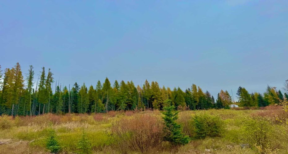408 Valley View Close, Rural Clearwater County, Alberta T4T 1A7, ,Land,For Sale,Valley View,A2264706