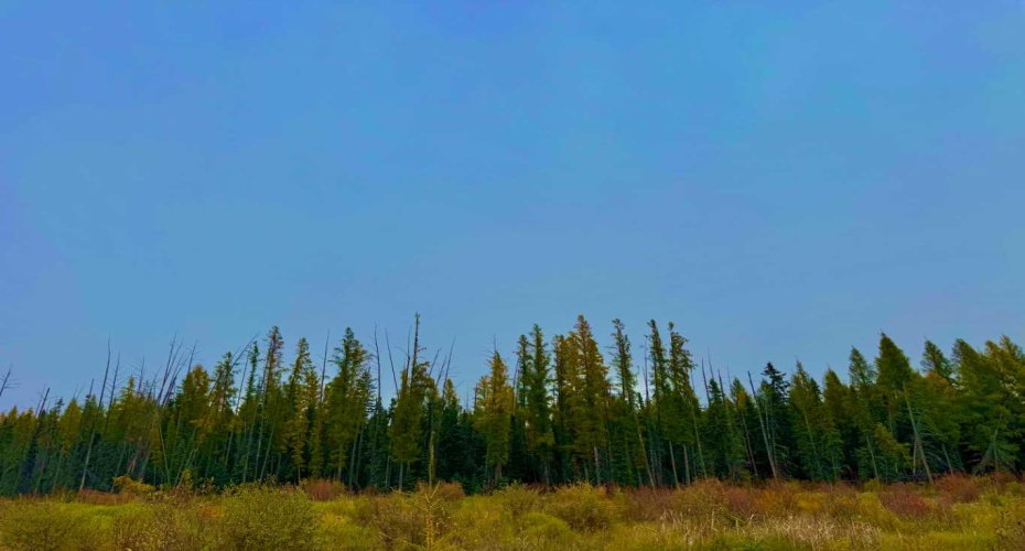 408 Valley View Close, Rural Clearwater County, Alberta T4T 1A7, ,Land,For Sale,Valley View,A2264706