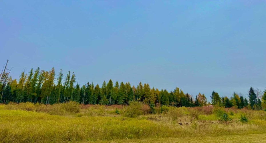 408 Valley View Close, Rural Clearwater County, Alberta T4T 1A7, ,Land,For Sale,Valley View,A2264706