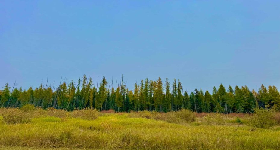 408 Valley View Close, Rural Clearwater County, Alberta T4T 1A7, ,Land,For Sale,Valley View,A2264706