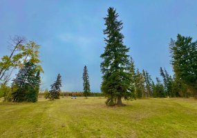 316 Valley View Drive, Rural Clearwater County, Alberta T4T 1A7, ,Land,For Sale,Valley View,A2264707