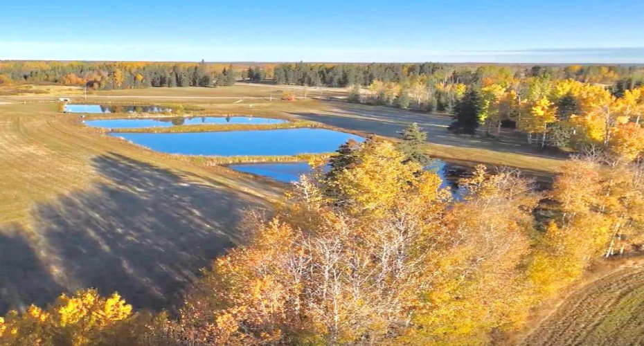 316 Valley View Drive, Rural Clearwater County, Alberta T4T 1A7, ,Land,For Sale,Valley View,A2264707