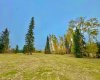 316 Valley View Drive, Rural Clearwater County, Alberta T4T 1A7, ,Land,For Sale,Valley View,A2264707