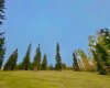 316 Valley View Drive, Rural Clearwater County, Alberta T4T 1A7, ,Land,For Sale,Valley View,A2264707