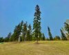 316 Valley View Drive, Rural Clearwater County, Alberta T4T 1A7, ,Land,For Sale,Valley View,A2264707
