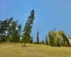 316 Valley View Drive, Rural Clearwater County, Alberta T4T 1A7, ,Land,For Sale,Valley View,A2264707