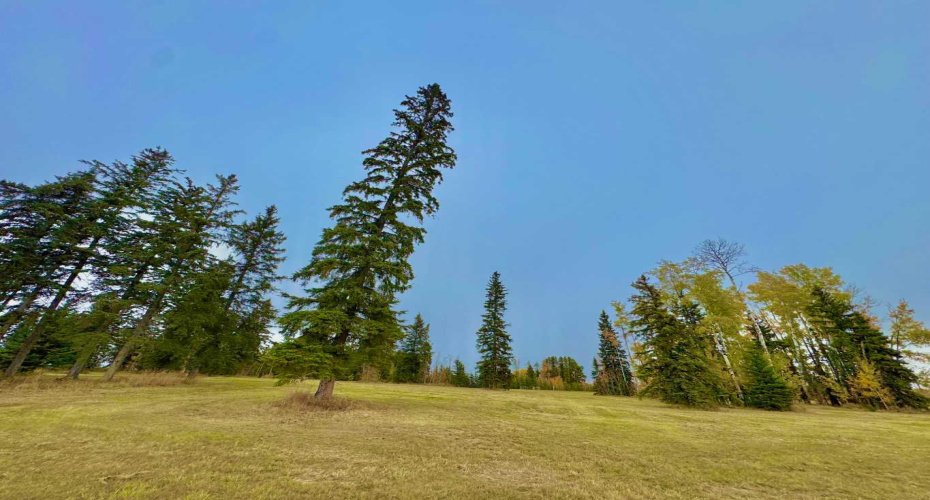 316 Valley View Drive, Rural Clearwater County, Alberta T4T 1A7, ,Land,For Sale,Valley View,A2264707