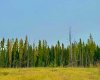 400 Valley View Close, Rural Clearwater County, Alberta T4T 1A7, ,Land,For Sale,Valley View,A2264709
