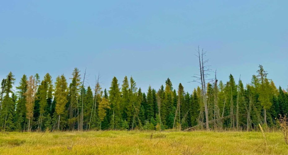 400 Valley View Close, Rural Clearwater County, Alberta T4T 1A7, ,Land,For Sale,Valley View,A2264709