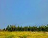 400 Valley View Close, Rural Clearwater County, Alberta T4T 1A7, ,Land,For Sale,Valley View,A2264709