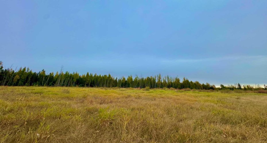 400 Valley View Close, Rural Clearwater County, Alberta T4T 1A7, ,Land,For Sale,Valley View,A2264709