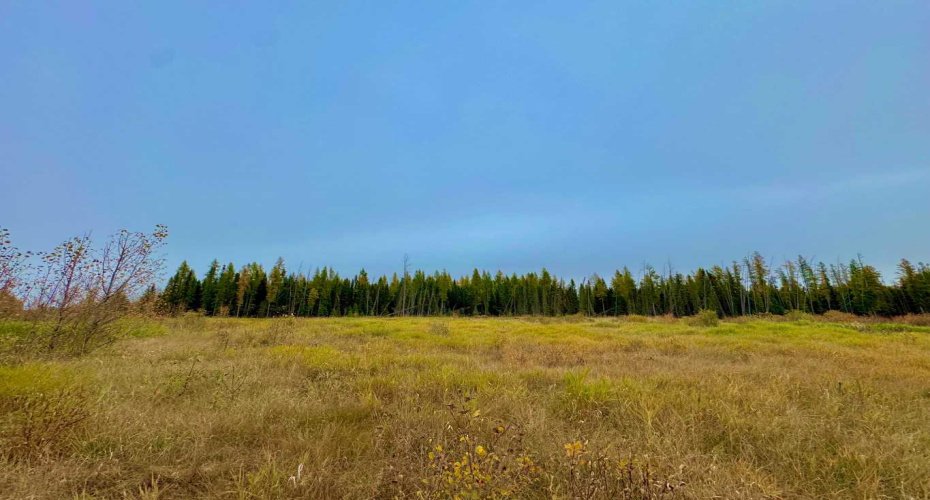 400 Valley View Close, Rural Clearwater County, Alberta T4T 1A7, ,Land,For Sale,Valley View,A2264709