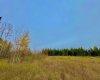 400 Valley View Close, Rural Clearwater County, Alberta T4T 1A7, ,Land,For Sale,Valley View,A2264709