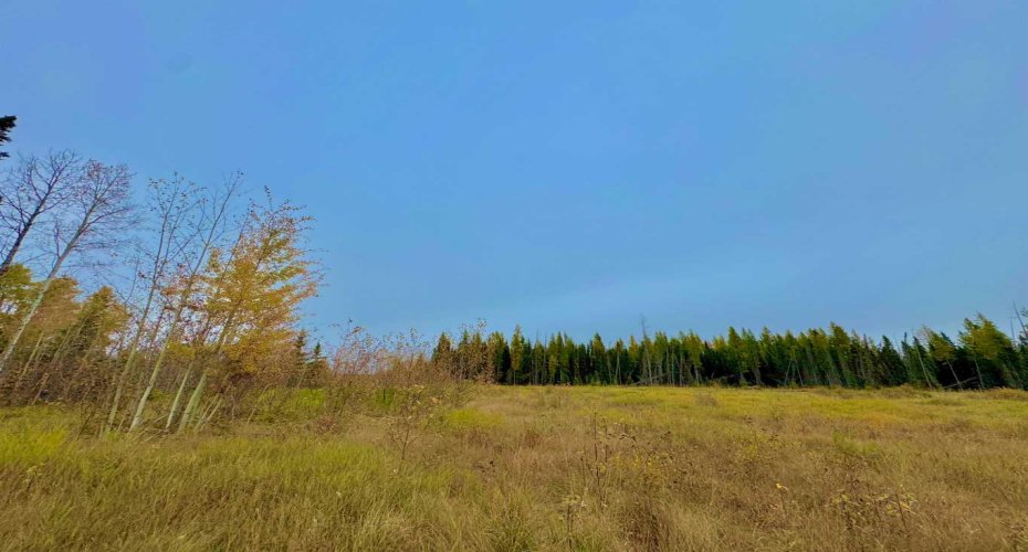 400 Valley View Close, Rural Clearwater County, Alberta T4T 1A7, ,Land,For Sale,Valley View,A2264709