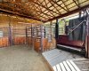 animal handling system