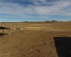 TWP 303, Rural Mountain View County, Alberta T0M 0A0, ,Commercial,For Sale,TWP 303,A2268191