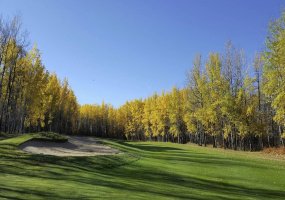 Rural Wetaskiwin No. 10, County of, Alberta, ,Commercial,For Sale,A2264282 Rural Wetaskiwin No. 10, County of, Alberta, ,Commercial,For Sale,A2264282