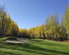 Rural Wetaskiwin No. 10, County of, Alberta, ,Commercial,For Sale,A2264282