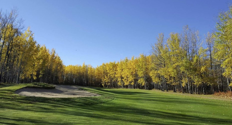 Rural Wetaskiwin No. 10, County of, Alberta, ,Commercial,For Sale,A2264282
