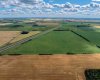 Range Rd 253 Road, Rural Leduc County, Alberta T4X 2L1, ,Land,For Sale,Range Rd 253,A2268789
