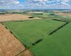 Range Rd 253 Road, Rural Leduc County, Alberta T4X 2L1, ,Land,For Sale,Range Rd 253,A2268789