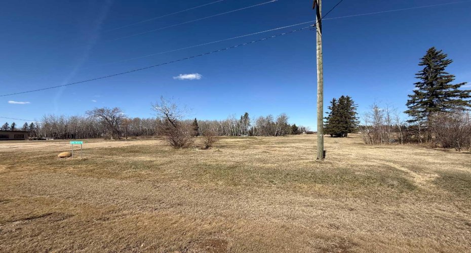 3004 Township Rd. 765, Peoria, Alberta T0H 3P0, ,Land,For Sale,Township Rd. 765,A2268865